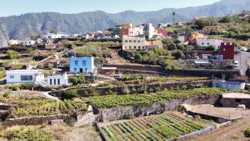 Finca El Milagro - Las Vistas