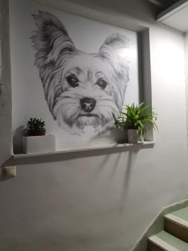 Larry's little place in the center of Gytheio