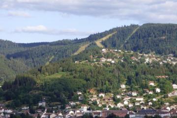 Apartment With Balcony In Gérardmer