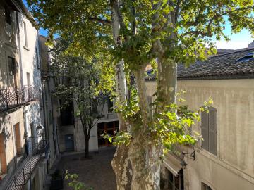 La charmante du Palais des Papes