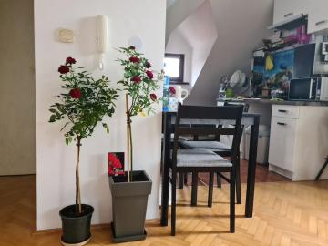 Uroczy apartament z tarasem i widokiem na ogród