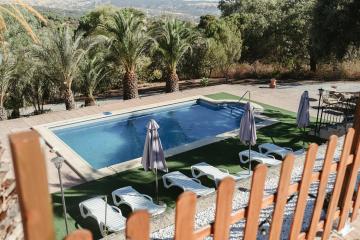 Brisas del Palmeral