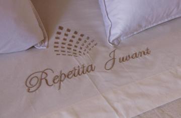 Repetita Juvant