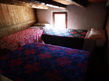 rifugio casa di campagna in condivisione in ecosistema insetti e animaletti simpatici, Leggere attentamente Prima di prenotare