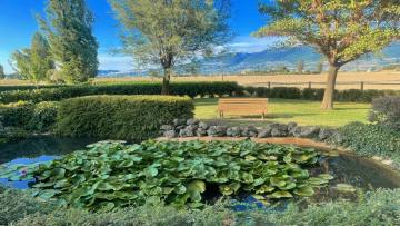 Spello By The Pool - Sleeps 11 with large private pool, meditation park - exc