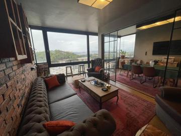 Dazzle view