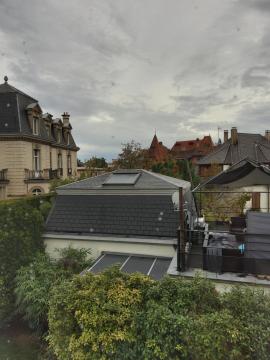 Le jardin des roses