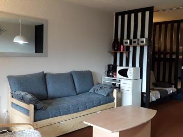 Studio Villard-de-Lans, 1 pièce, 4 personnes - FR-1-689-46