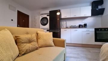 Contemporay Studio w Floor Heating, See-Through Bath, Queen Bed, 55 TV'', Washer & Dryer