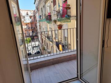 IL VICOLETTO D'ORO