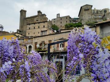 Casa vacanza L'ocadoro centro storico