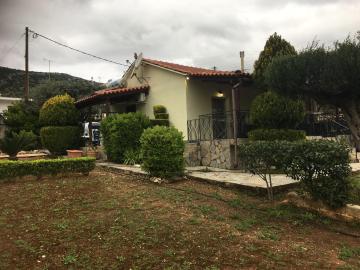 House in garden