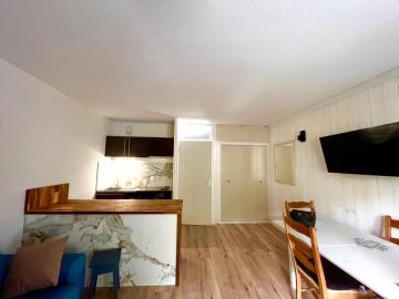 Grand Studio Cabine Pieds des Pistes