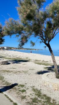Apartmani Ruzmarin