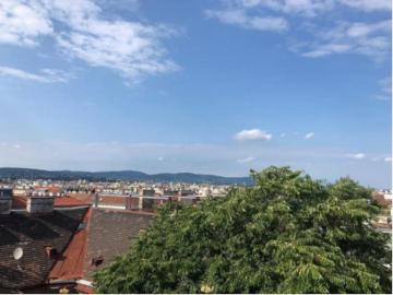 Maisonettwohnung mit Dachterrassen mitten in Wien!
