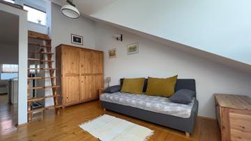 Studio z widokiem na Palenice