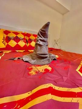 Harry Potter a 2 min a piedi da Corso Como