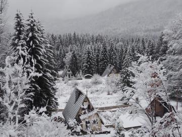 Holiday mountain house Forest Queen
