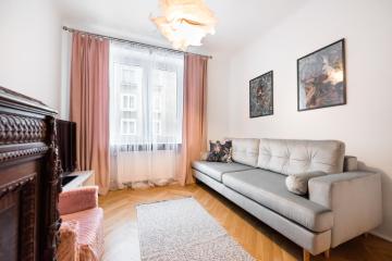 Homey City Center Apartment