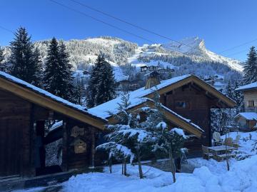 Chalet de l'Ours : 4 étoiles-spa-proche des pistes