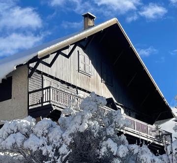 GRAND APPARTEMENT AVEC CHEMINEE DANS CHALET LA BUSSEROLE