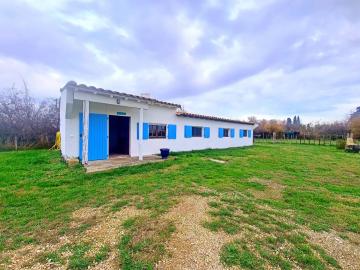 Maison Saintes-Maries-de-la-Mer, 3 pièces, 4 personnes - FR-1-475-104