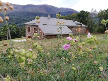 Ferme d'alpage grand confort sur 3ha dans un cadre naturel
