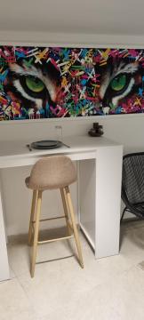 Chambre studio avec salle de bain privée