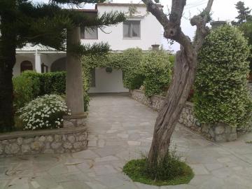 Il Merlo