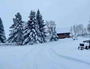 Chalet Des Marmottes du Sancy