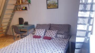 Homey Guest House