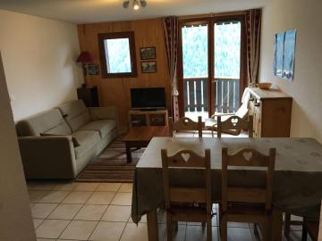 Nice apartment in Châtel near the ski slope and the center