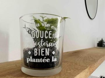 Le Dolce