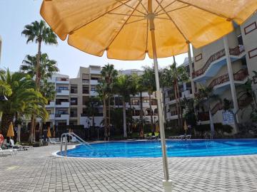 Studio with shared pool enclosed garden and wifi at Palm Mar