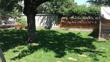 Chambre OL Stadium