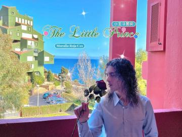 Red Wall/Noble Suite Series/Little Prince/Rose/Sea