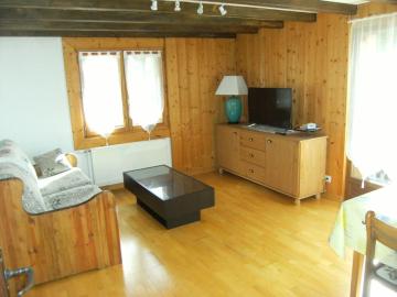 appartement style chalet avec sauna et terrasse