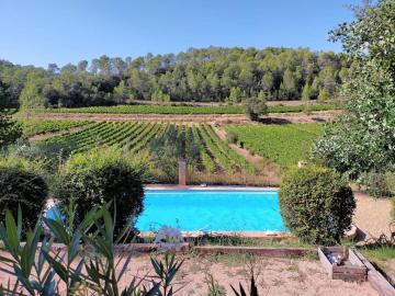 Le Figuier, suite en plein vignoble provençal
