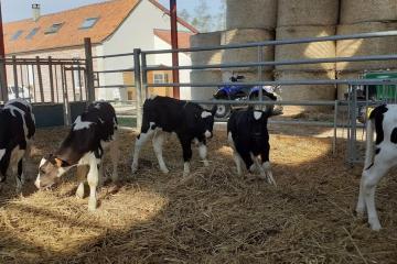 Gîte à la ferme le vivier