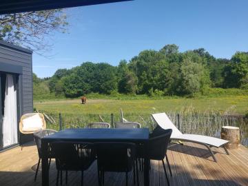 Charming ecolodge in a quiet area, heated pool all year Charente-Maritime