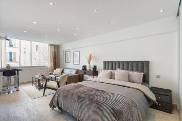 Luxury Apartment Champs Elysees