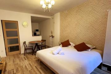 Le Cocon Toulousain - appartement en hyper-centre
