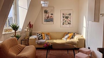 Pop art appartement - Vue sur les toits de Colmar