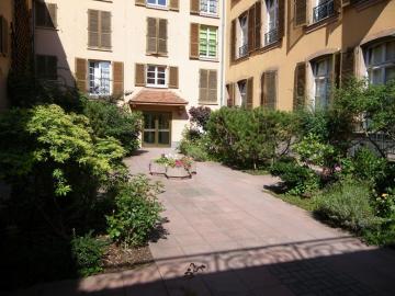 Studio Jonquille
