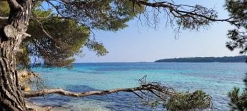 Les Grenadines