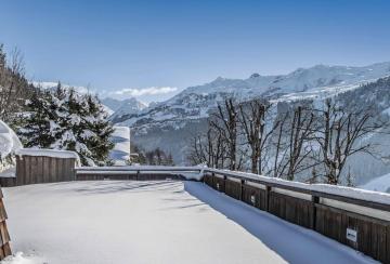 Beautiful Chalet facing South West