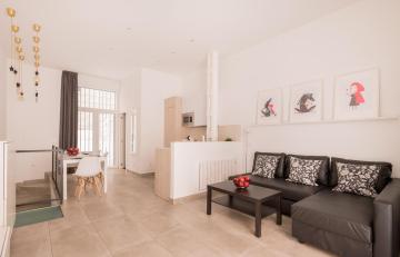 Duplex in the center of Madrid (B2)
