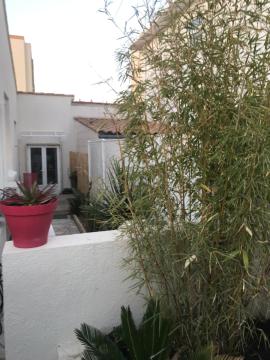 Studio de 35m2 avec cour privée