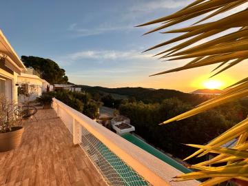 La Villa des Cycas