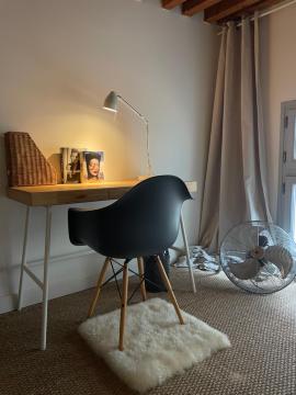 Appartement style Loft hypercentre